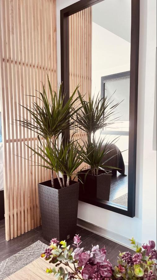 Plasencia Plaza Mayor Luxury Luaran gambar